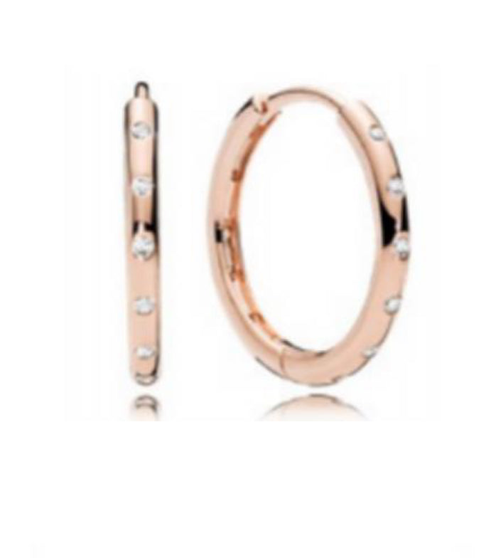 PENDIENTES ARRACADA CON ZIRCONIA Plata s925 ALE