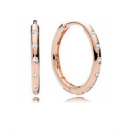 PENDIENTES ARRACADA CON ZIRCONIA Plata s925 ALE